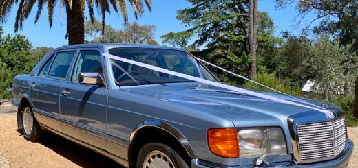 Mercedes 1986